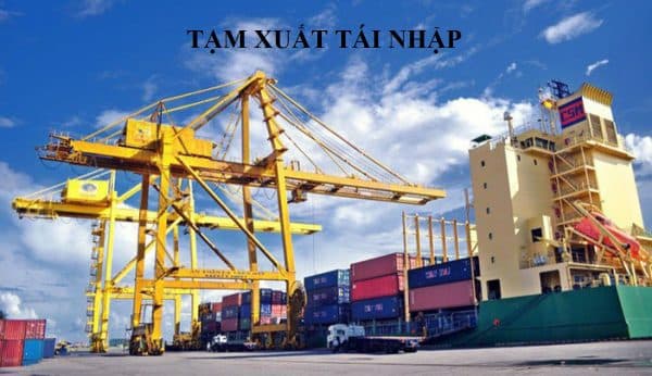 Làm đại diện pháp lý, tạm nhập tái xuất